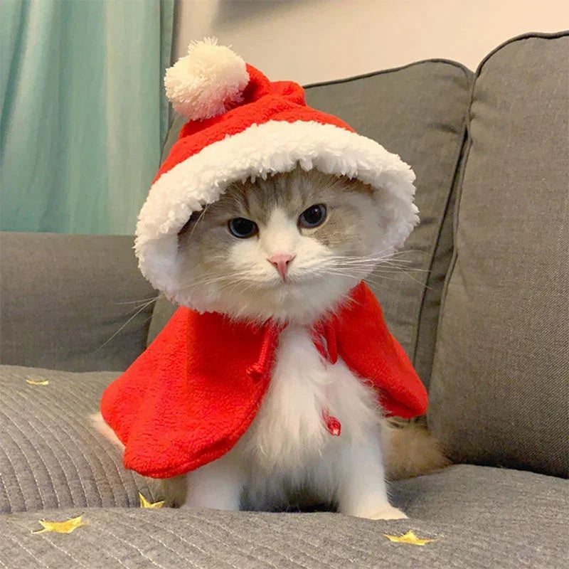 Christmas Santa & Reindeer Pet Cape Costume