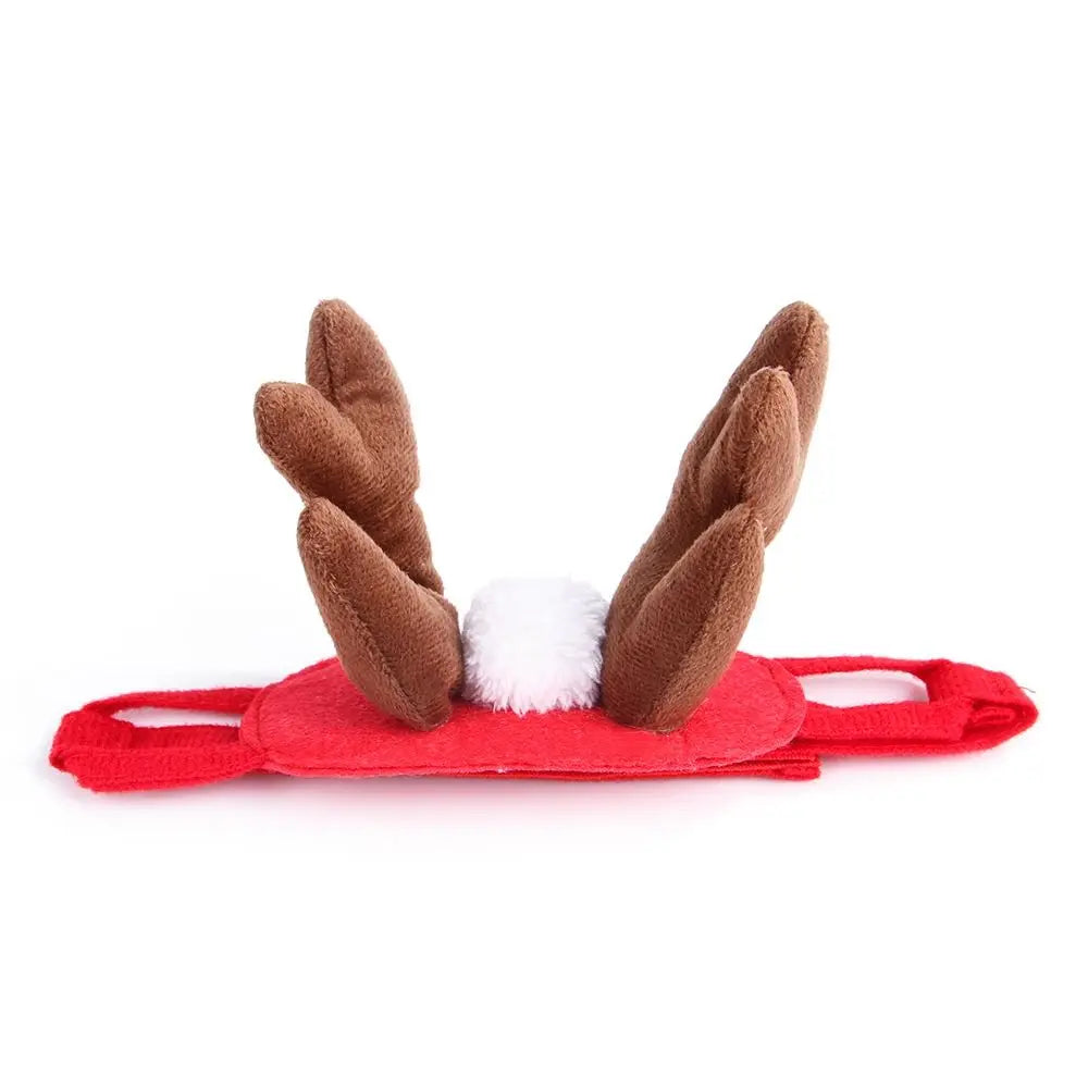 Festive Christmas Pet Dress-Up Collection
